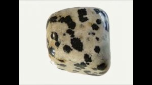 Dalmation Stone - Rediscovery Your Inner Child - Meditation