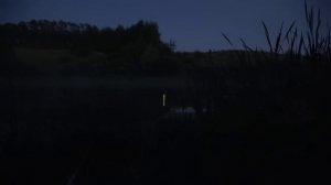 Ловля карася на светящийся поплавок. Рыбалка на маховую удочку ночью.