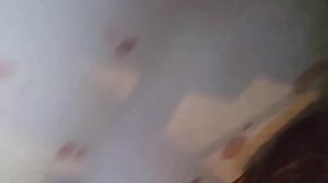 Разведение кеклика в домашних условиях