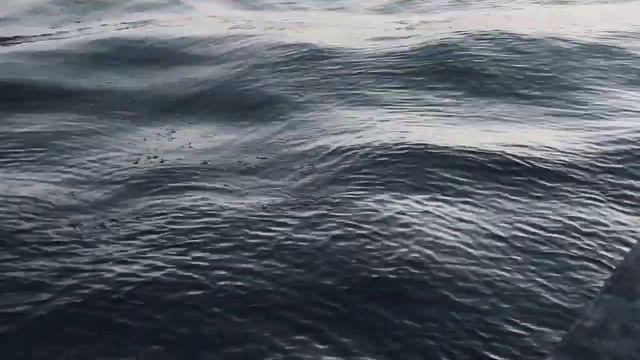 VID 20230807 215035 Франческа (Эзра Паунд)...Павел Васильев Лахтинский смотреть онлайн