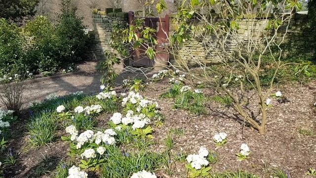 591. Роскошный Лайм парк или вылазка с подругами. смотреть онлайн