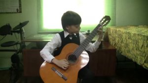 М. Каркасси "Анданте" исполняет Качанов Павел