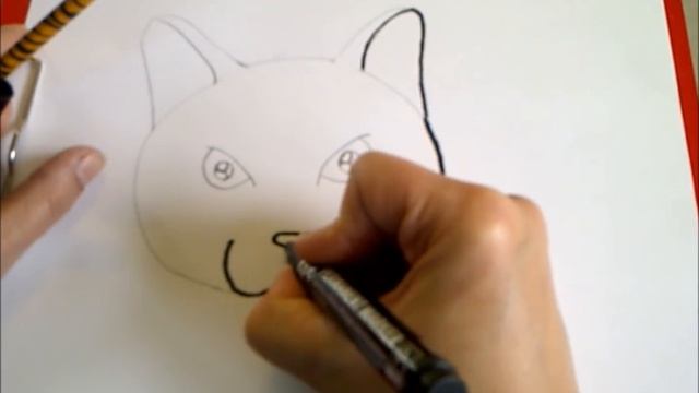 Рисуем кошачью мордочку.  Рисуем кошачьи глаза. Как нарисовать кошку.