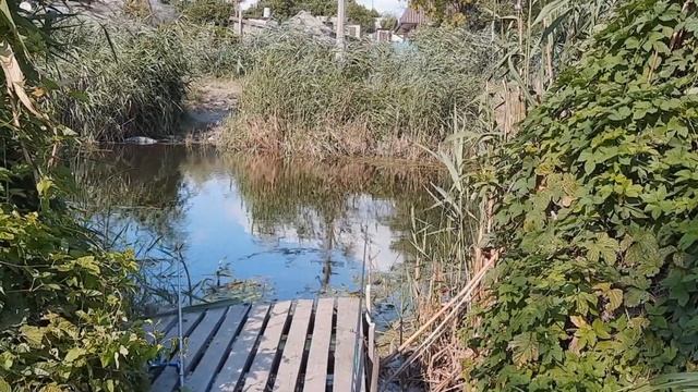 Рыбалка. Ловим карася в Одессе в июле. смотреть онлайн
