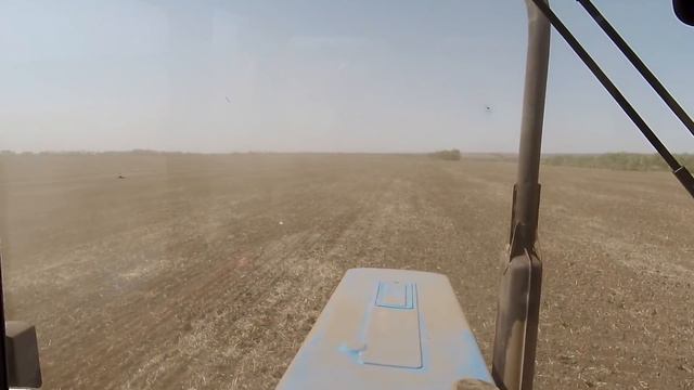 Посев рапса МТЗ 82.1 с Титан 420