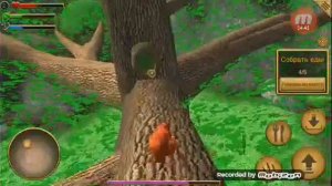 Начало #1 - Squirrel simulator - прохождение!!!