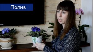 Фиалка: Уход в Домашних Условиях - мой опыт