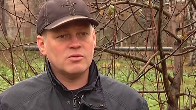 Зелёный участок. Защита плодовых деревьев смотреть онлайн