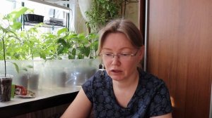 ПАУТИННЫЙ КЛЕЩ на рассаде.