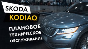 Плановое техническое обслуживание автомобиля Skoda Kodiaq 1,4 TSI