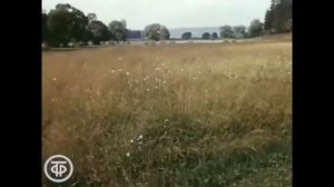 Слезы мне на плечи упали