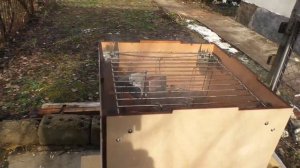 Кижуч холодного копчения,правильный дымогенератор.
