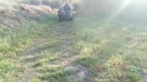 Зачем нужна пони. Плюсы в содержании шетлендских пони