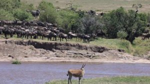 Переход день Второй 1280x720х50