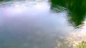 рыбалка на форель в осетии