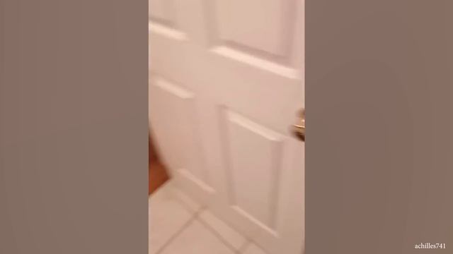 Bath time never gets any easier! Dogs vs Bath ?