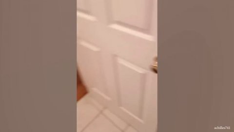 Bath time never gets any easier! Dogs vs Bath ?