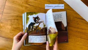Видеообзор книги Вольт. Верный друг