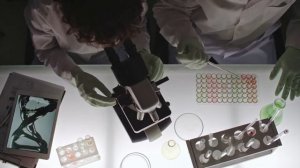 Как летучие мыши живут с таким количеством вирусов ?