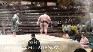 Heaviest Sumo Wrestler in the World | Orora Satoshi | First Russian professional Sumo