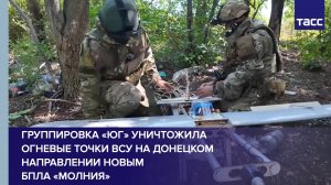 Группировка «Юг» уничтожила огневые точки ВСУ на донецком направлении новым БПЛА «Молния»