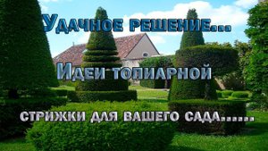 Идеи топиарной стрижки для вашего сада* Ландшафтный дизайн
