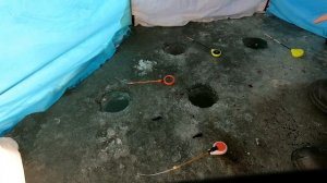 БОЛЕЕ 100 ЛЕТ на эту СНАСТЬ ловят рыбу как из ПУЛЕМЁТА.ЛУЧШАЯ НАСАДКА.Рыбалка в Калужской области