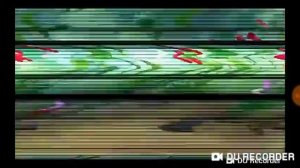 САМОУБИЙСТВО ЛУНТИКА. НОВАЯ СЕРИЯ !!! 18+