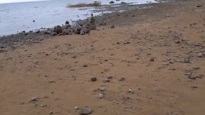 Подбор  камней для аквариума в Спб