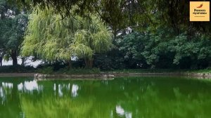 Рассказ мужчины | Измена жены. Жена и её любовник заказали убийство мужа. Месть мужа. Часть 2