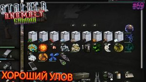 ХОРОШИЙ УЛОВ | STALKER ANOMALY GAMMA | Серия 69