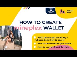 Mineplex Banking | How to create Mineplex wallet | Seed phrase and secret key | Collabor place