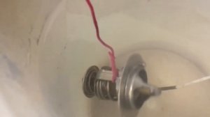 ТЕРМОСТАТ кипятим в чайнике, заливаем кипятком.