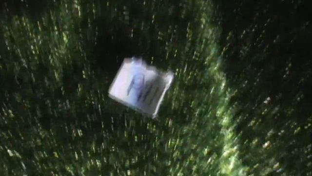 Littlest Pet Shop: Love Like Woe ♬ смотреть онлайн