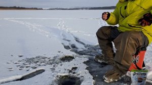 ЗИМНЯЯ рыбалка 2024 ПЕРВОЛЕДКА река ДНЕПР #рыбалка #fishing #рыбалка2024