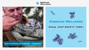 Птичья техника: как GPS/GSM-трекеры помогают ученым следить за судьбой редких птиц