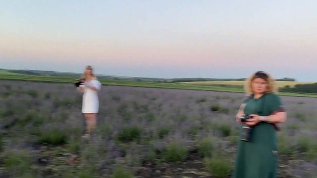 Лавандовые поля. Бирюзовое кольцо России.