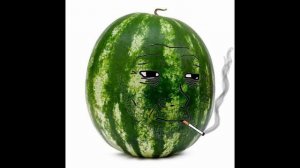 Антон угарает с мемов про арбузы