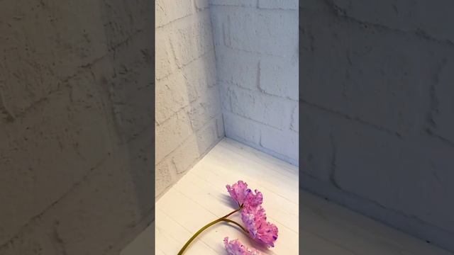 ЕЛ-Люси | Сортовые фиалки смотреть онлайн