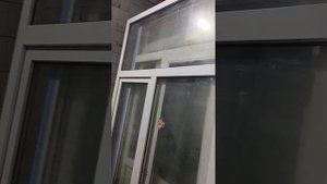 Склад Б/У окон Санкт Петербург, Московское шоссе 13 АЕ Ⓜ️ Звёздная