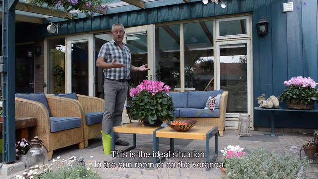 Schoneveld Breeding Mammoth XXL (ENG) смотреть онлайн