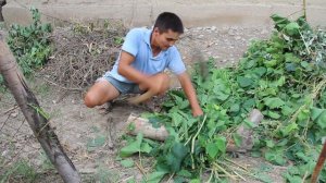 Компостирование(:) правильный способ!