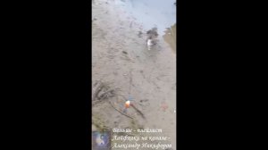 Рыбалка. Бедняга