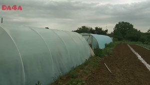 Бюджетное притенение теплицы от жары