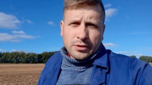 посев озимой пшеницы в поздние сроки