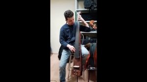 Электроконтрабас (Арко-Пьезо-Магнит)