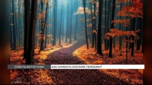 Как фотографировать осенние пейзажи?