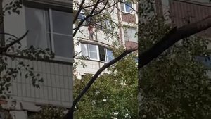 Девочка чуть не упала с балкона в Солнцево