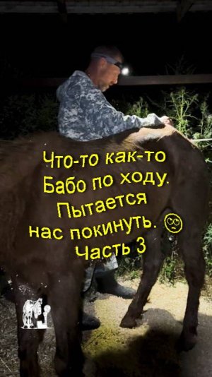 Что-то, как-то Бабо по ходу  Все долго Часть 3