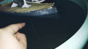 в "2" корабль из пластилина.